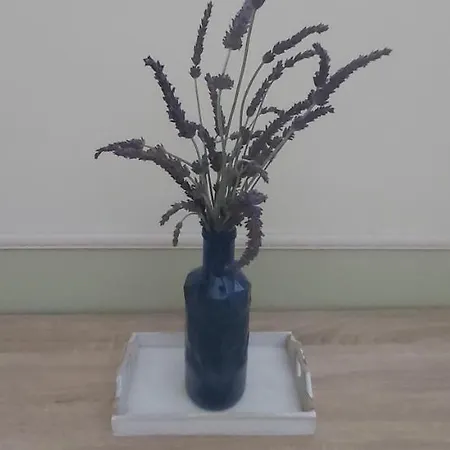 Apartment Atico Bahia *